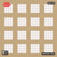 Interlock (Pasco) 10x10 cm · SQ11-102 · Plaza Grid Every 3 Cells