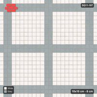 Interlock (Pasco) 10x10 cm · SQ11-107 · Plaza Grid Every 5 Cells