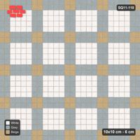 Interlock (Pasco) 10x10 cm · SQ11-110 · Plaza Grid with Corner Accents Every 3