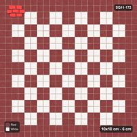 Interlock (Pasco) 10x10 cm · SQ11-172 · 20 cm Border with Checker Field