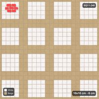 Interlock (Pasco) 10x10 cm · SQ11-240 · Plaza Grid in Kerb Frame