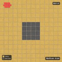 Interlock (Pasco) 10x10 cm · SQ11-31 · Framed Field with Centre Square