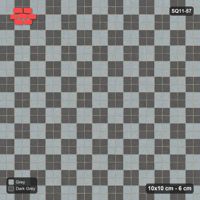 Interlock (Pasco) 10x10 cm · SQ11-57 · Two-Unit Checkerboard