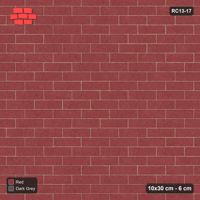 Interlock (Pasco) 10x30 cm · RC13-17 · Third-bond with kerb frame