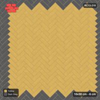 Interlock (Pasco) 10x30 cm · RC13-210 · Herringbone 45 20 cm accent border