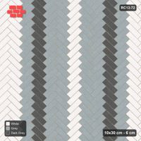 Interlock (Pasco) 10x30 cm · RC13-72 · Herringbone 45 30 cm graded column tones