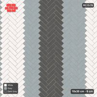 Interlock (Pasco) 10x30 cm · RC13-76 · Herringbone 45 60 cm graded column tones