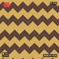 Interlock (Pasco) 10x30 cm · RC13-96 · Herringbone 45 30 cm colour rows