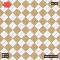 Interlock (Pasco) 20x10 cm · RC21-14 · Diagonal Parquet