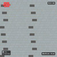 Interlock (Pasco) 20x10 cm · RC21-166 · Running Bond 1/4, Accent Dots
