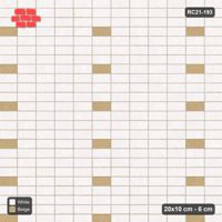Interlock (Pasco) 20x10 cm · RC21-193 · Stack Bond, Accent Dots