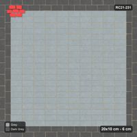 Interlock (Pasco) 20x10 cm · RC21-231 · Stack Field, Stretcher Border x2