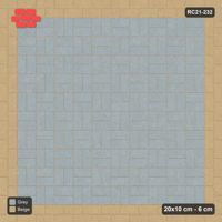 Interlock (Pasco) 20x10 cm · RC21-232 · Basketweave Field, Stretcher Border x2
