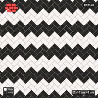 Interlock (Pasco) 20x10 cm · RC21-88 · Herringbone 45, Chevron Stripes 2x