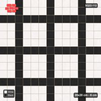 Interlock (Pasco) 20x20 cm · SQ22-112 · Plaza Grid Every 4 Units