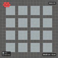 Interlock (Pasco) 20x20 cm · SQ22-181 · Single Border, Plaza Grid Field