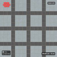 Interlock (Pasco) 20x20 cm · SQ22-239 · Plaza Grid in Kerb Frame