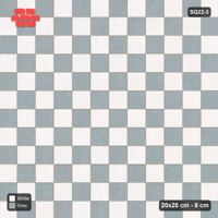 Interlock (Pasco) 20x20 cm · SQ22-3 · Checkerboard