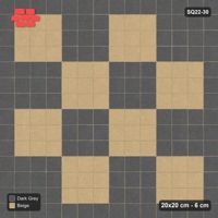 Interlock (Pasco) 20x20 cm · SQ22-30 · Border and 3x3 Checker