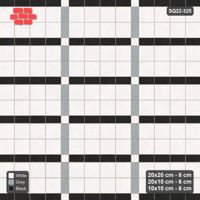 Interlock (Pasco) 20x20 cm · SQ22-325 · 4x2 Panel Grid, 10x10 Crossings, Two-Colour Lines