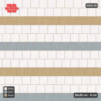 Interlock (Pasco) 20x20 cm · SQ22-38 · Coastal Third Bond Courses