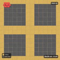 Interlock (Pasco) 20x20 cm · SQ22-50 · Tactile Crosshair Guide