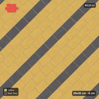 Interlock (Pasco) 20x30 cm · RC23-31 · Running Bond 1/3 at 45 degrees, Stripes