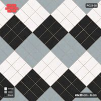 Interlock (Pasco) 20x30 cm · RC23-35 · Diagonal Parquet, Three-Tone