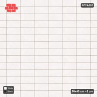 Interlock (Pasco) 20x40 cm · RC24-192 · Horizontal stack field with 1-course soldier border - Contrast