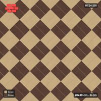 Interlock (Pasco) 20x40 cm · RC24-235 · Diagonal parquet, block checker with kerb frame - Sandstone