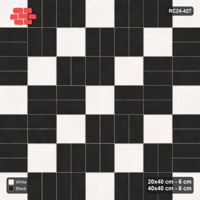Interlock (Pasco) 20x40 cm · RC24-427 · Radial Pairs with Reverse Diagonal Slab Inlays - Contrast