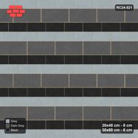 Interlock (Pasco) 20x40 cm · RC24-521 · Mixed Courses 2+1, Alternating 20x40 Courses