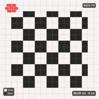 Interlock (Pasco) 30x30 cm · SQ33-179 · Double Course Border with Large Checker Field