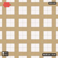 Interlock (Pasco) 30x30 cm · SQ33-240 · Plaza Grid in Kerb Frame