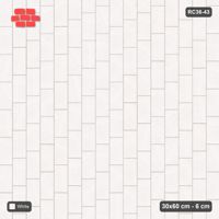 Interlock (Pasco) 30x60 cm · RC36-43 · Vertical running bond 1/4