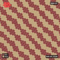 Interlock (Pasco) 8x8 cm · SQ88-237 · Diagonal Running Bond Two-Tone Diagonal Steps 3-Cobble