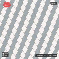 Interlock (Pasco) 14x21 cm · DIA-011 · Native Interlock 30 deg - unit checker, kerb frame