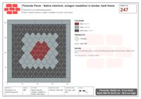 Interlock (Pasco) 19x22 cm · FLO-247 · Native interlock, octagon medallion in border, kerb frame