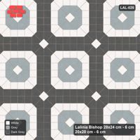 Interlock (Pasco) 28x24 cm · LAL-020 · Framed Octagon Medallions - square field, frame ring, coloured inner octagon
