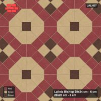 Interlock (Pasco) 28x24 cm · LAL-037 · Octagons with House Pairs and Plus Squares - light octagons, coloured pairs, dark centres and plus core