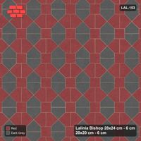 Interlock (Pasco) 28x24 cm · LAL-153 · House-Pair Rows - coloured by pair direction
