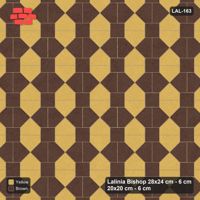 Interlock (Pasco) 28x24 cm · LAL-163 · House-Pair Rows - coloured by pair direction