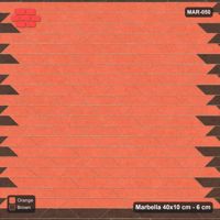 Interlock (Pasco) 40x10 cm · MAR-050 · Brown Border Ring with Kerb