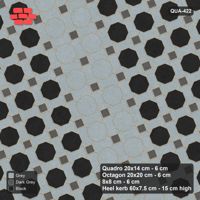 Interlock (Pasco) 20x14 cm · QUA-422 · Quadro-Octagon-8x8 grid, vertical octagon band, 22 deg (Graphite Scale), Heel kerb 75x150x600 kerb