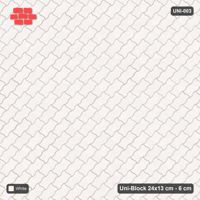Interlock (Pasco) 24x13 cm · UNI-003 · Plain field, 45-degree lay, kerb frame