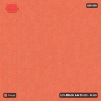 Interlock (Pasco) 24x13 cm · UNI-009 · Plain field, quarter-turn lay, kerb frame