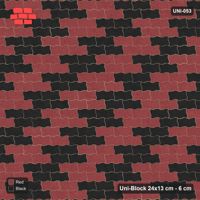 Interlock (Pasco) 24x13 cm · UNI-053 · Checkerboard of 2x2 piece blocks, straight lay, kerb frame (Red & Black)