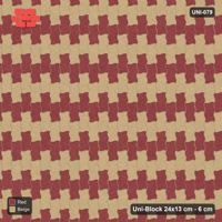 Interlock (Pasco) 24x13 cm · UNI-079 · Checkerboard, 2-course cells, quarter-turn lay (Terracotta)