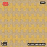 Interlock (Pasco) 24x13 cm · UNI-087 · Checkerboard, 2-course cells, quarter-turn lay, kerb frame (Desert Sun)