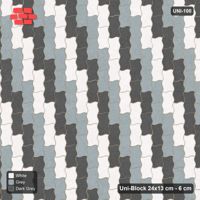 Interlock (Pasco) 24x13 cm · UNI-100 · Three-tone checkerboard of 2-piece pairs, quarter-turn lay, kerb frame (Monochrome)